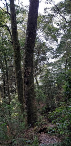 白姑大山之旅743401