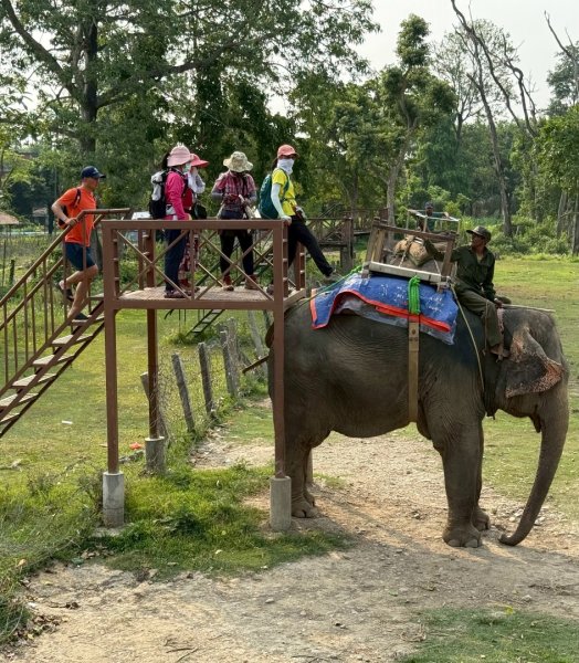 尼泊爾奇旺國家公園4天三夜2788913