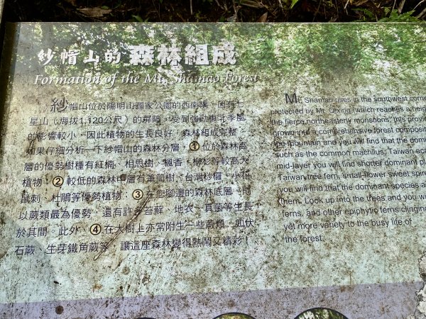 《中正山 × 紗帽山｜穿越北投古道與山林的一日縱走！》2935008