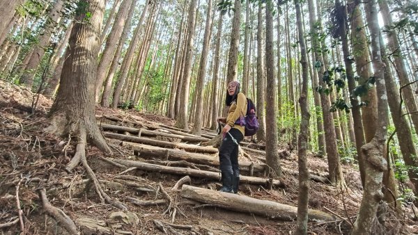 肥大醜三崠連走，鳶嘴西陵上鳶嘴山2650328