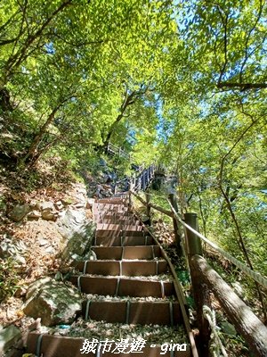 【台中和平】山林靜謐時光。 捎來步道2989211