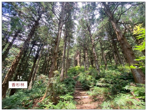醜崠山、肥崠山(長壽山)、大崠山 三崠連走