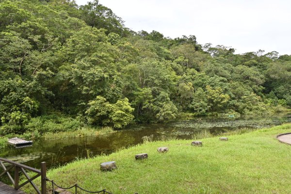 2025_0712 福山植物園2836147