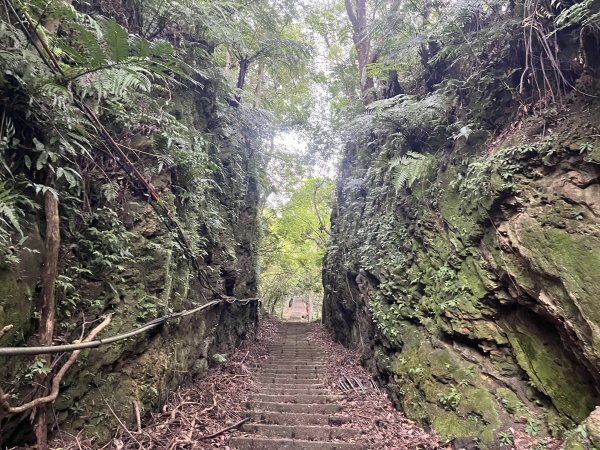 [微笑山線_ 第十段] 2025_0914 五分山系_菁桐煤礦段2889841