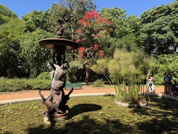 [紐約馬之行-60] 2025_1114 卡洛斯·泰斯植物園-下2954219