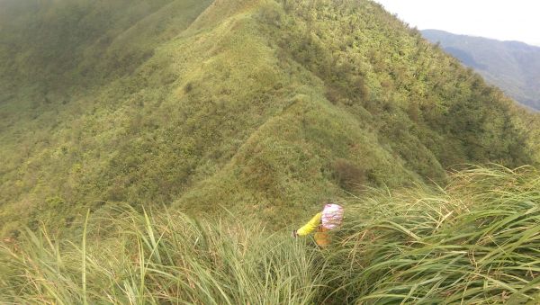 鶯子頂山-鶯子嶺375517