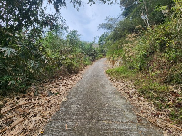 20260224雞隆山、八角林山、上果作園山3023638