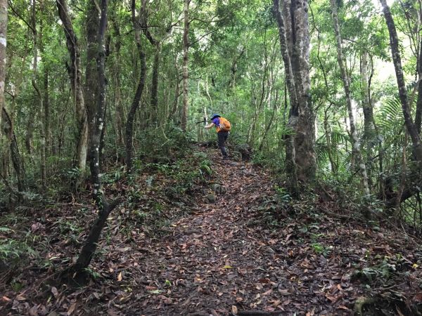 2018/06/18高台山連走島田三山353657