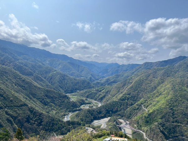 桃園 復興 中巴陵 櫻木花道3011965