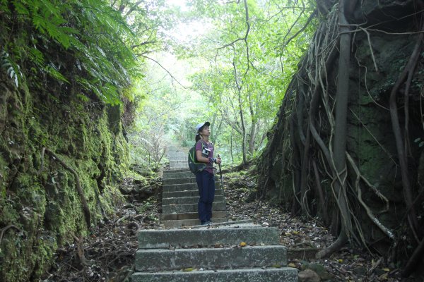 淡蘭古道北路坐山望海1253862