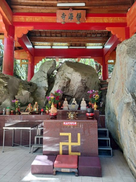 【台中和平】森林步道悠閒走。 八仙山森林遊樂區步道群2784595