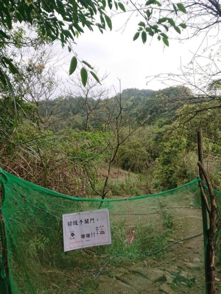 璀璨百年淡蘭古道～崩山坑古道、溪尾寮山、保城坑古道、虎豹潭步道O走1313472