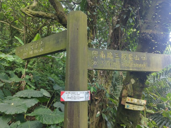 2026.01.25－微笑山線：【天上山系】烘爐地土地公段2994601