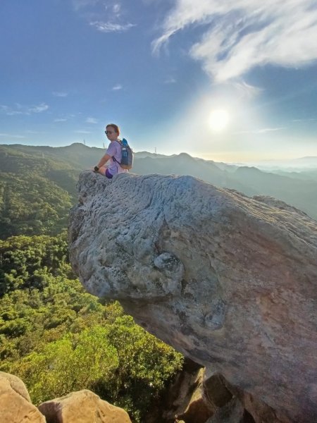 內湖金面山1796845