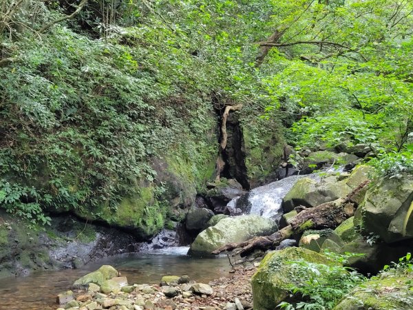 2022.09.20 小觀音山-大屯溪古道1852184