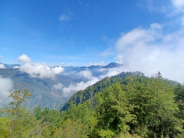 【台中和平】大雪山啞口觀景台步道2933082
