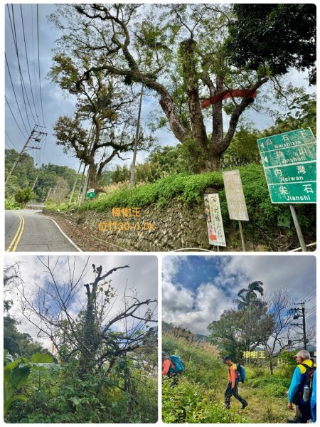 太元宮-關西玉山前-玉山/南柯山-東獅頭山/赤柯山南峰-赤柯山-太元宮 O繞2958081