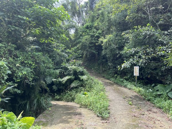 [皮皮獅Hike客任務-05/10] 2024_0721 石硬子古道(石峎古道)2557519