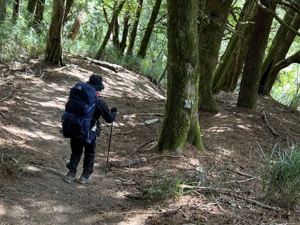 屏風山屋住一晚2916008