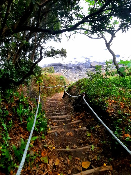 琅嶠卑南古道2700534