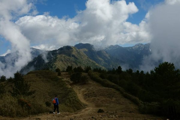 20200208鹿林前山~鹿林山~麟趾山835034