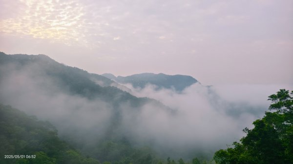 翡翠水庫壩頂 #火燒雲雲海 #日出雲海 #鱷魚島 #藍腹鷴 4/292773793