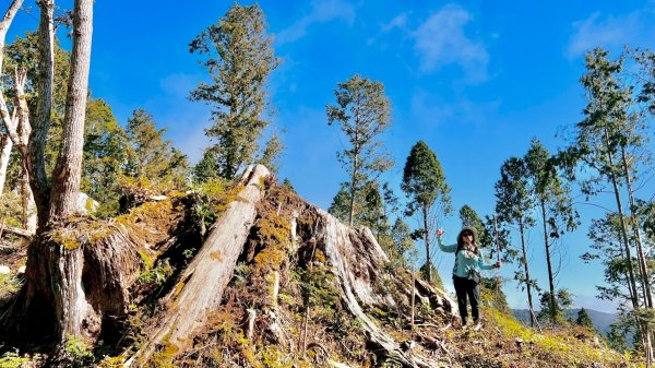 三星山(小百岳#85) 鳩之澤溫泉煮蛋趣2952843