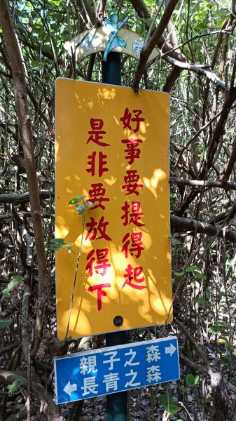 南山神壽：竹南海濱森林步道1901539