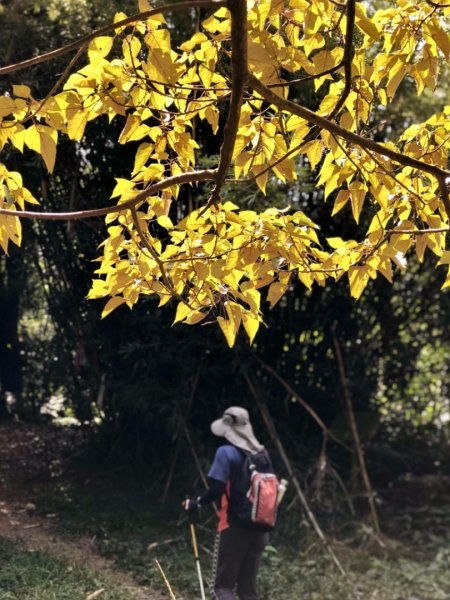 1071020關刀山