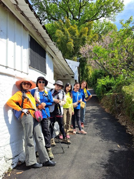 【發現陽明山】頂北投→陽峰古道→陽明山花鐘→陽明書屋→紫明溪步道→竹子湖海芋季2463754