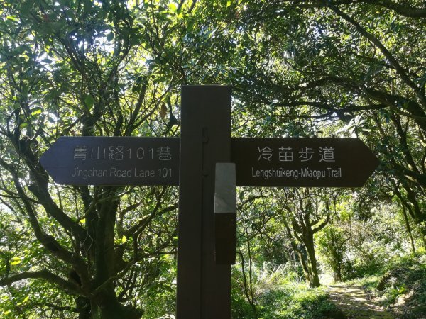 冷苗步道-七星公園-夢幻湖-冷水坑O形668568