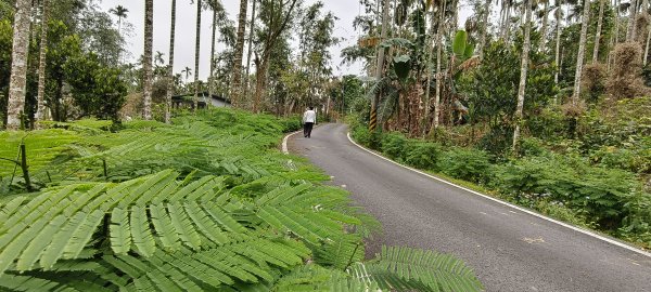 2025/02/08_苦苓腳古道2709248