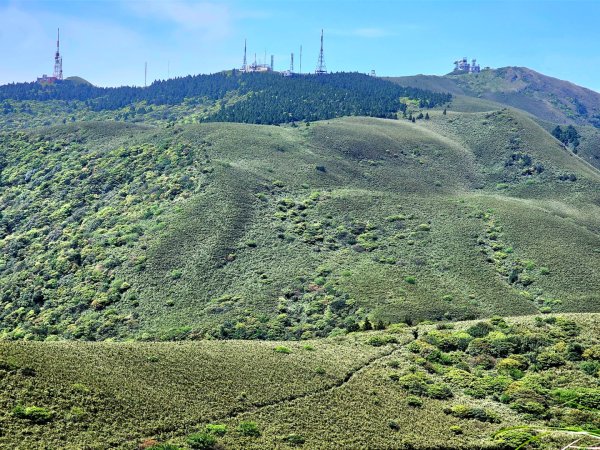 2026年臺北大縱走第三段：小油坑至風櫃口(七星山段)3029525
