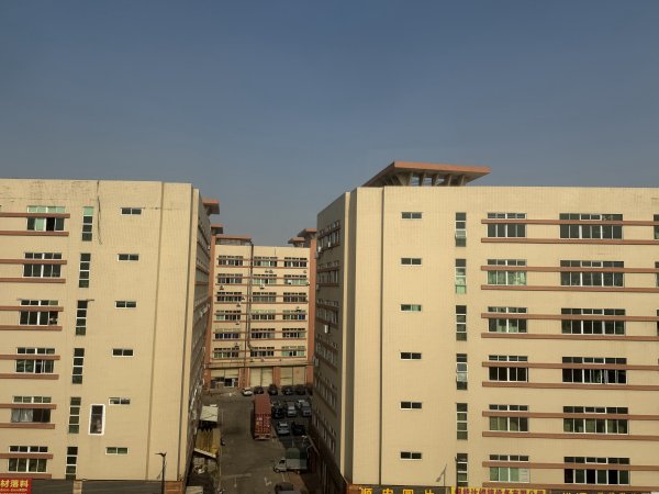 [茂名馬之行-10] 2026_0119 深圳北站2996570