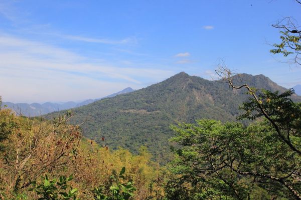 甲仙白雲山原路來回333548