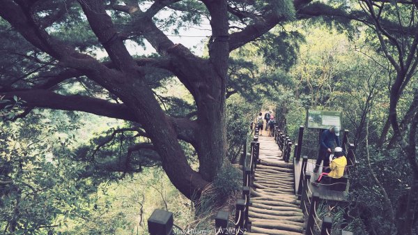 《台中》陡軟腳坡｜大坑頭嵙山4-5-3-3_1號O型