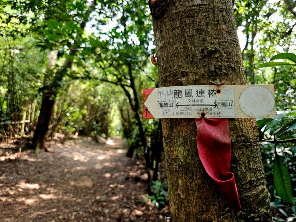 三段崎古道-2025森遊竹縣皮皮獅探險隊2890108
