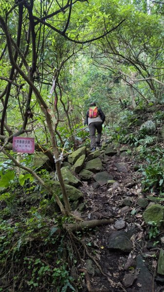 113.12.28小鷹尖-關山嶺-五八山-凌雲尖-龍女岩之旅2679358