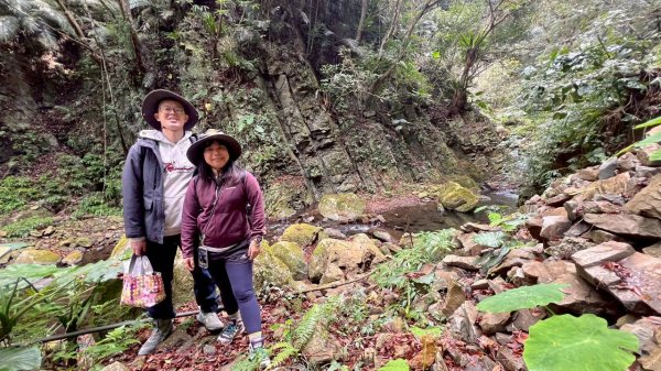 🌈2/7（六）-2/8（日）上帝部落~司馬庫斯神木2日深度之旅✨FB：熊熊趴爬走🌈🌈2995146