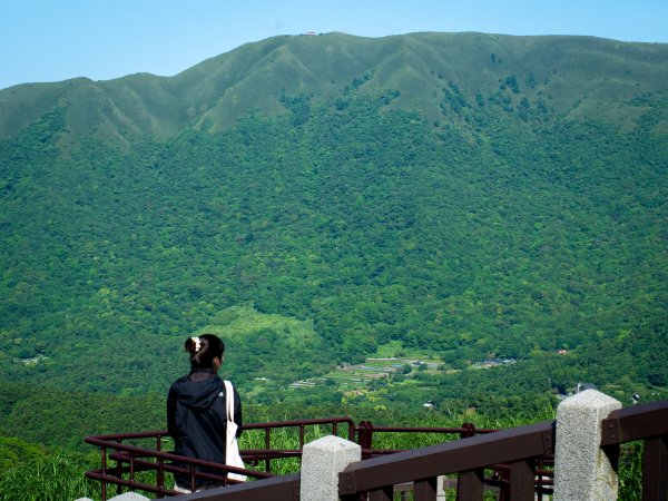 【行腳陽明山】初夏裡蒼翠欲滴的環七星山與百拉卡公路人車分道2188703