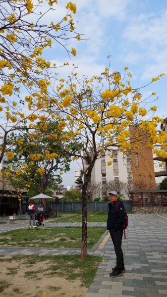 療癒森呼吸，阿里山三日行2764438