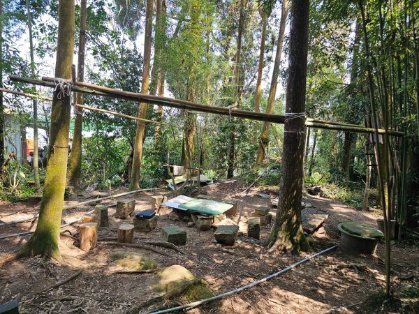 溪頭四秀 - 南投縣鹿谷鄉3023277