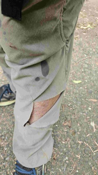 20250503藍鵲峰-平溪子山-畝畝山-青林山2777594