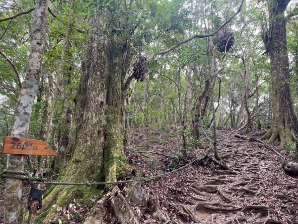 新北 塔曼山2832085