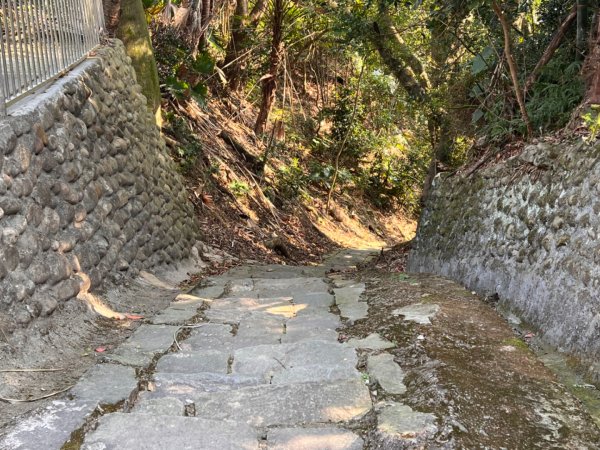 北車-桃園-齋明寺-自行車道-中庄調整池-七張-月眉2684814