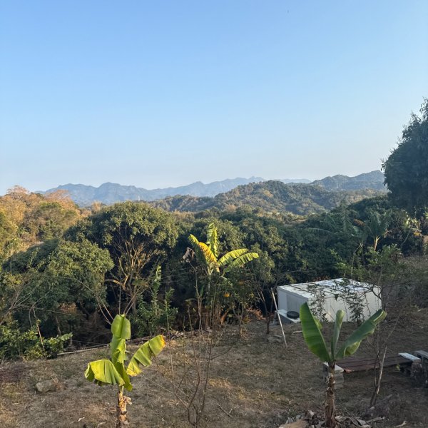 20260218 台中－臺灣百大必訪步道大坑9、10號步道3006440