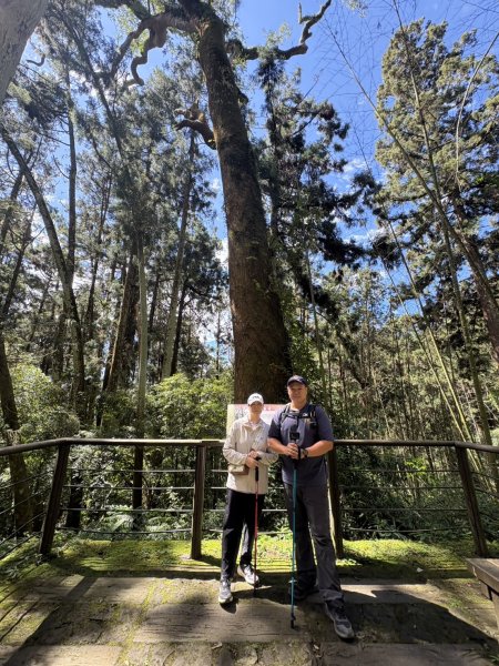 20251004嘉義奮起湖大凍山步道(頂湖)2914906