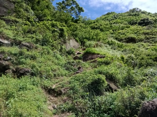 瑞芳區黃金8.5稜+南雅山O型2866454