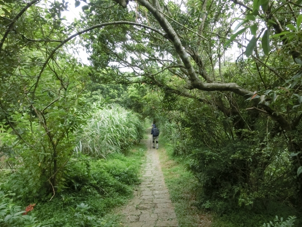 面天山．向天山．向天池94277