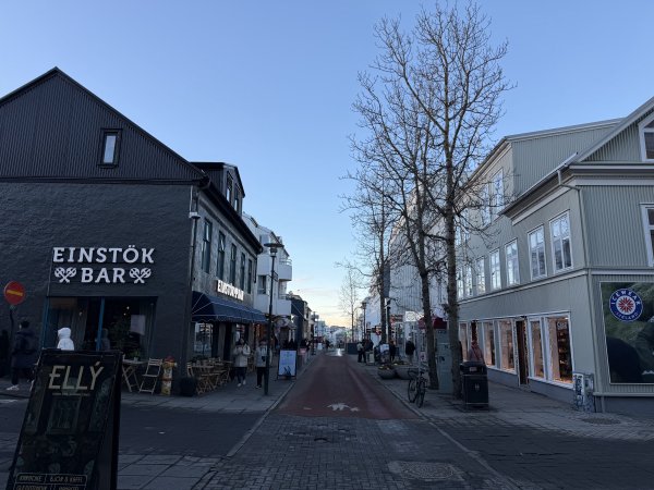 [紐約馬之行-23] 2025_1104 晚上的彩虹街2946782